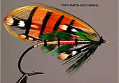 Fly